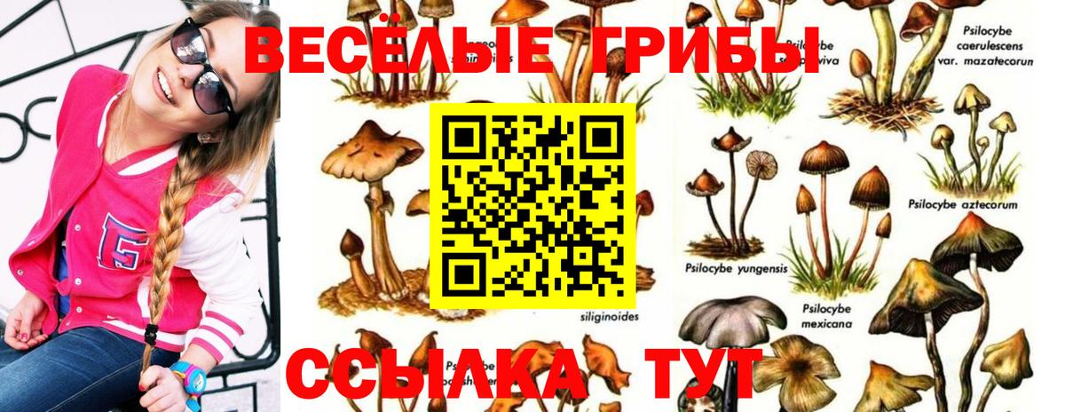 Галлюциногенные грибы прущие грибы Прохладный